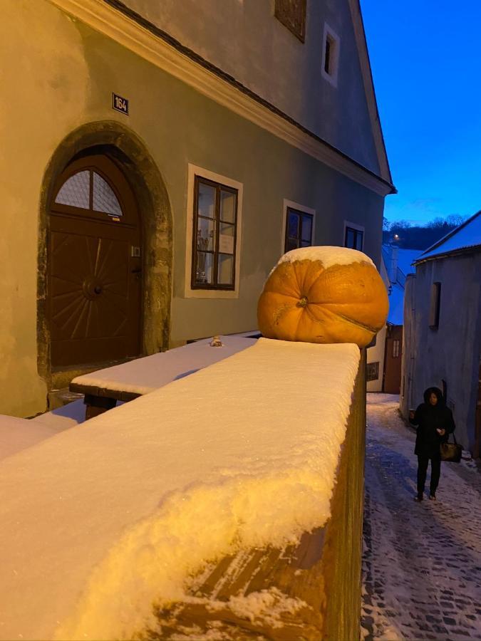 Cesky Krumlov Centrum Ap 6 מראה חיצוני תמונה